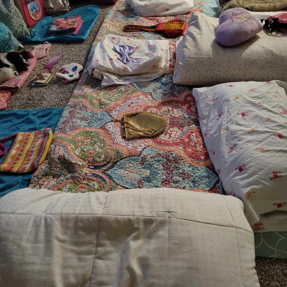 two twin plush twin beds with Mattress/boxspring, karaoke, toys, furniture &more - Picture 3 of 16